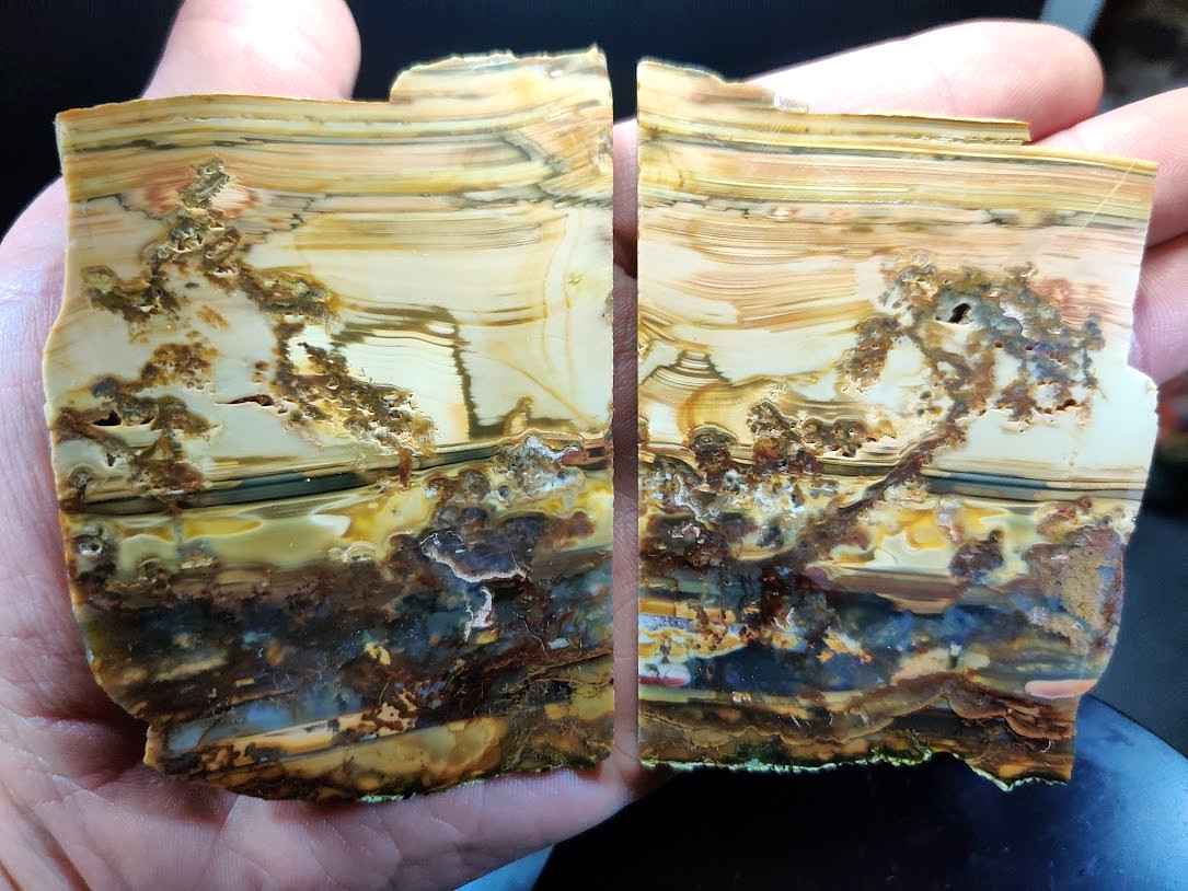2 Matching, Polished Picture Jasper Slabs - Artistic Nature Scenes on Both Sides