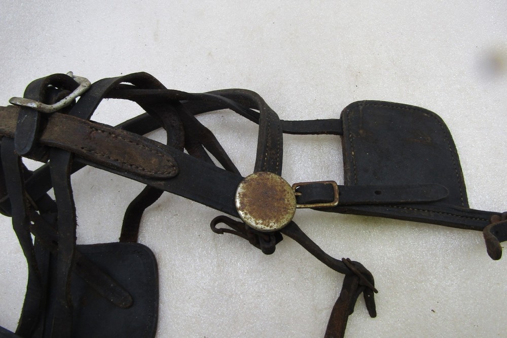 Celluloid harness spreaders & leather pieces