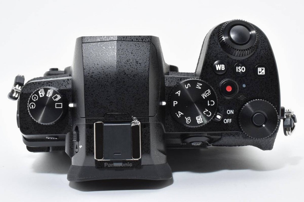 Panasonic LUMIX DC-G99D #1795