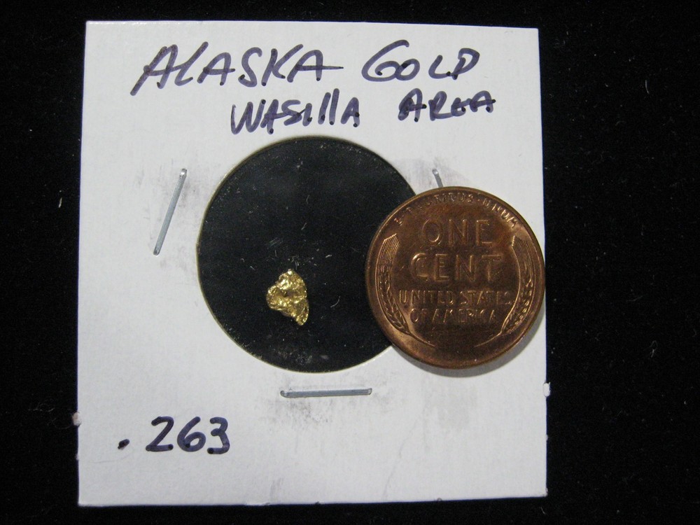 ALASKA GOLD NUGGET .263 GRAM
