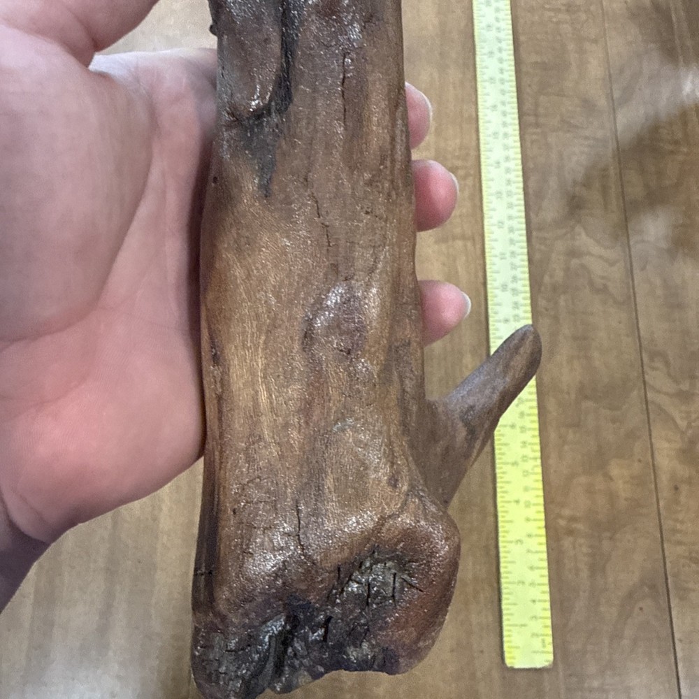 Driftwood Art Or Decoration