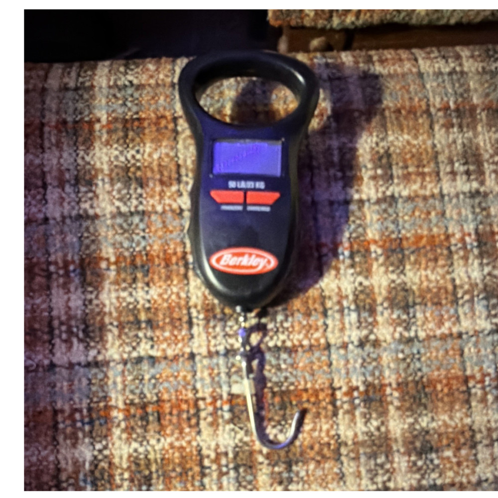 Berkley Digital Hanging Scale Black