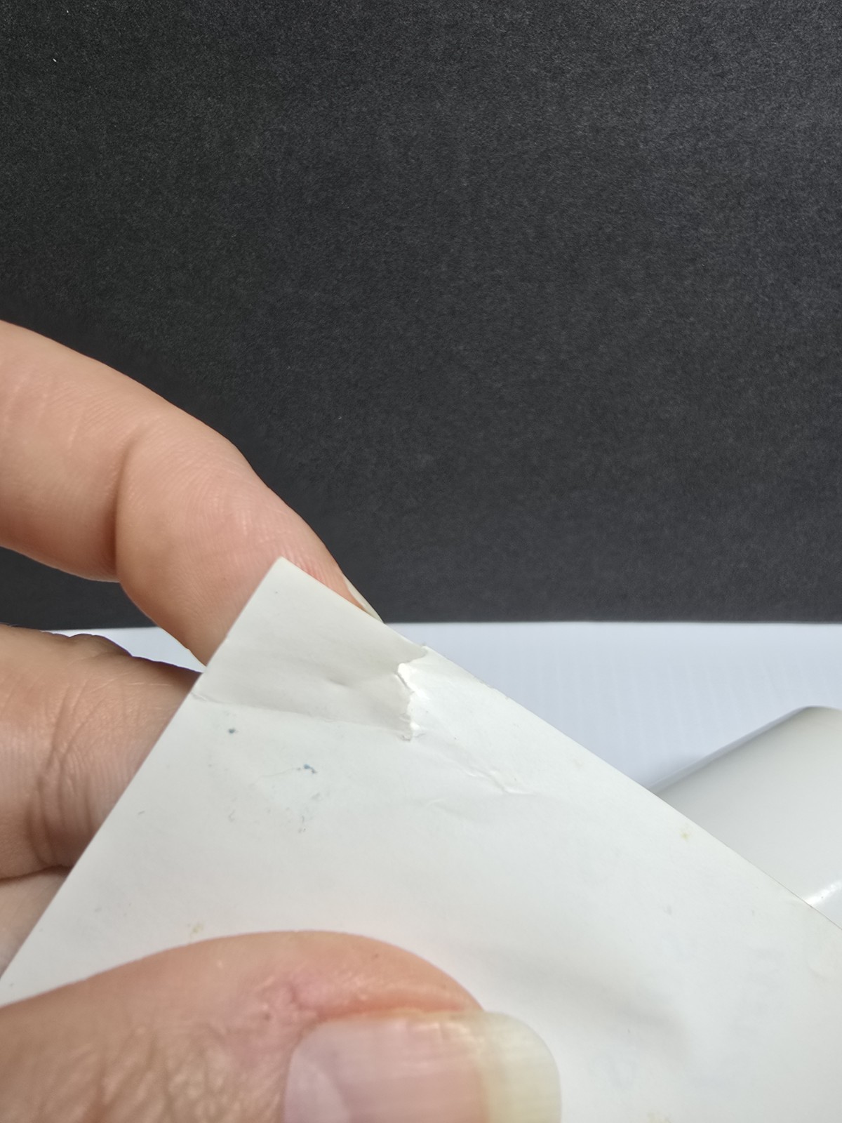 Black History Poster, African-American History 2003 Printing Brooklyn