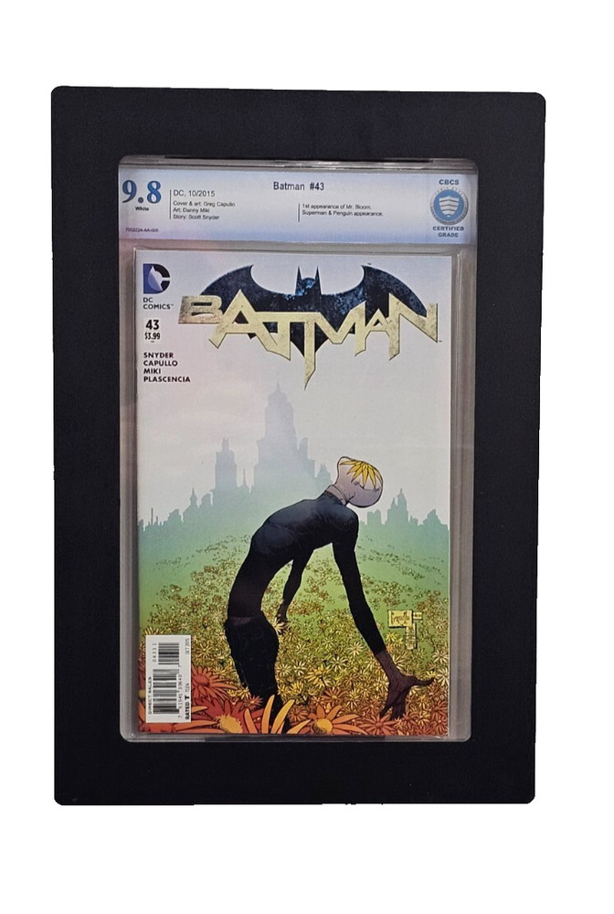Graded Comic Book Display Frame for CGC CBCS Slabs Wall Hanging Frame