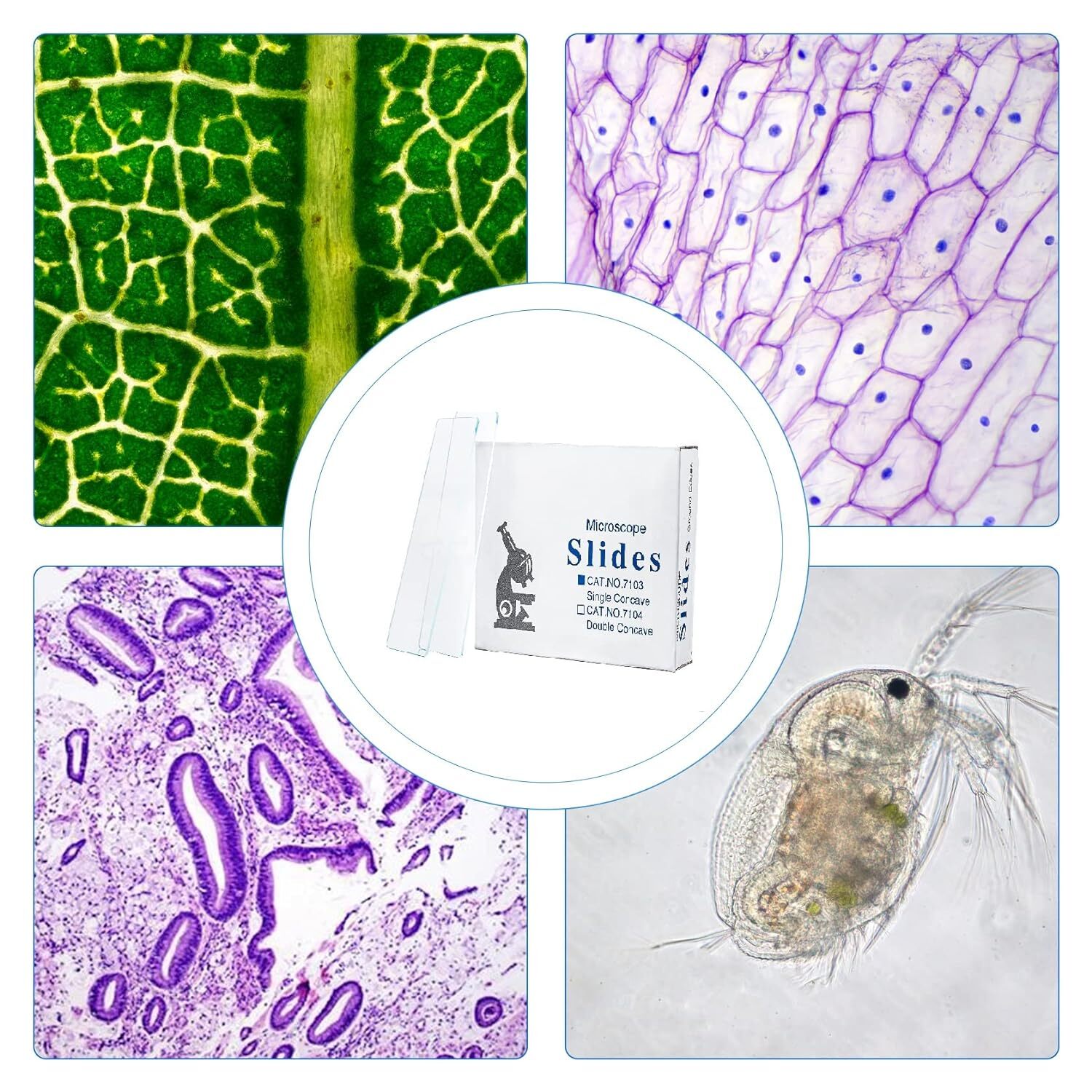 50/100/200/300Pcs Microscope Slides Concave Single concave 50Pc Glass Slide