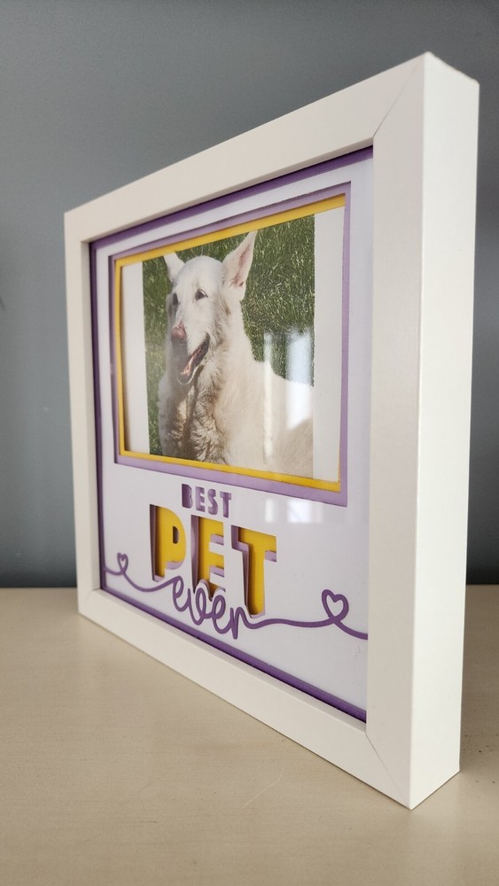 Best Pet Shadowbox