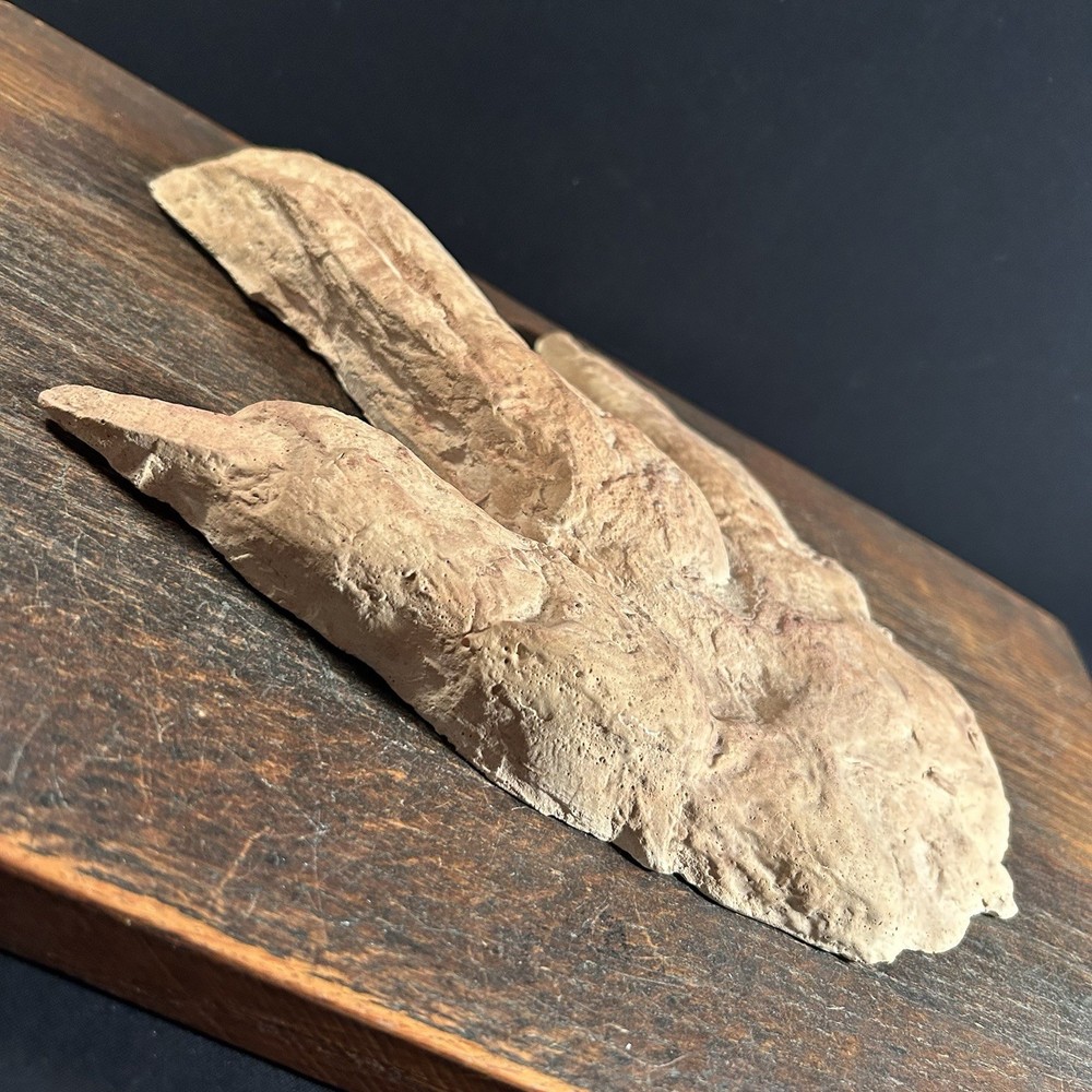 Vintage Dinosaur Footprint Plaster Cast Mold PRIORITY MAIL