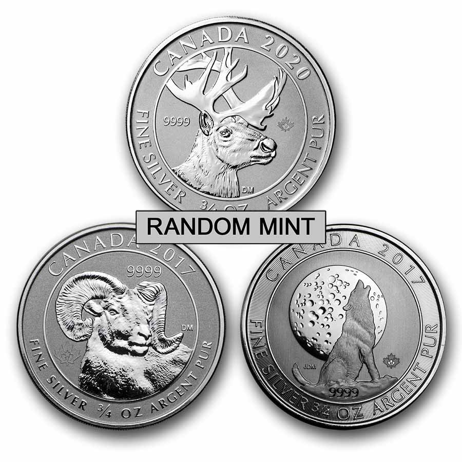 3/4 oz Silver Coin - Random Mint