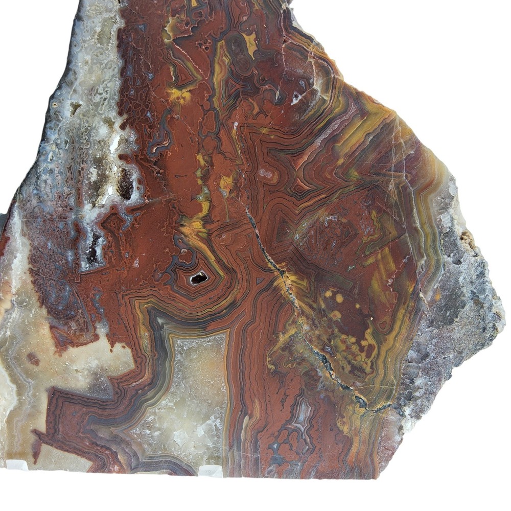 Laguna Lace Agate, slab, cabbing rough, lapidary, #R-6854