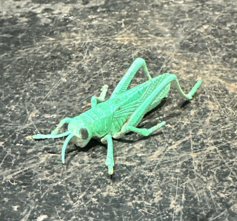Faux / Pretend grasshopper Ref D9