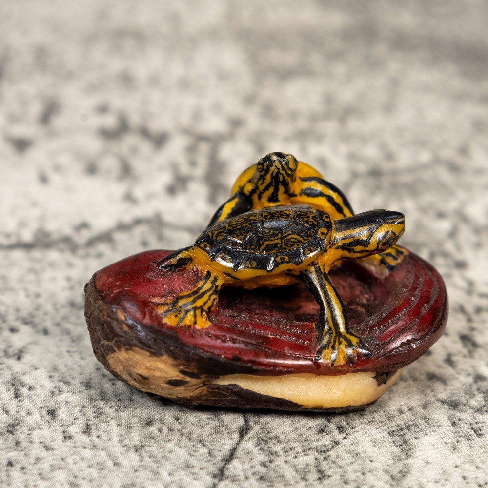 Double Turtle Tortoise Tagua Carving