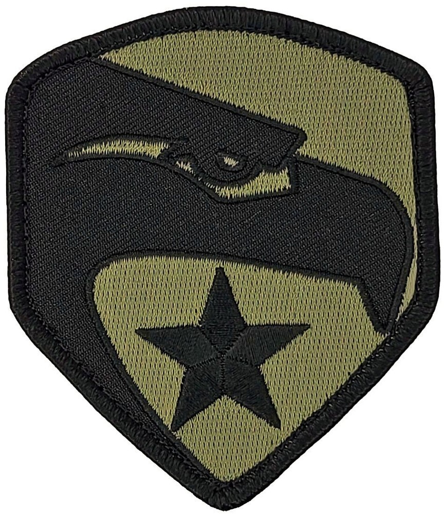 GI Joe Eagle & Star Logo Military Morale Patch |2PC HOOK BACKING 3.5"x3"