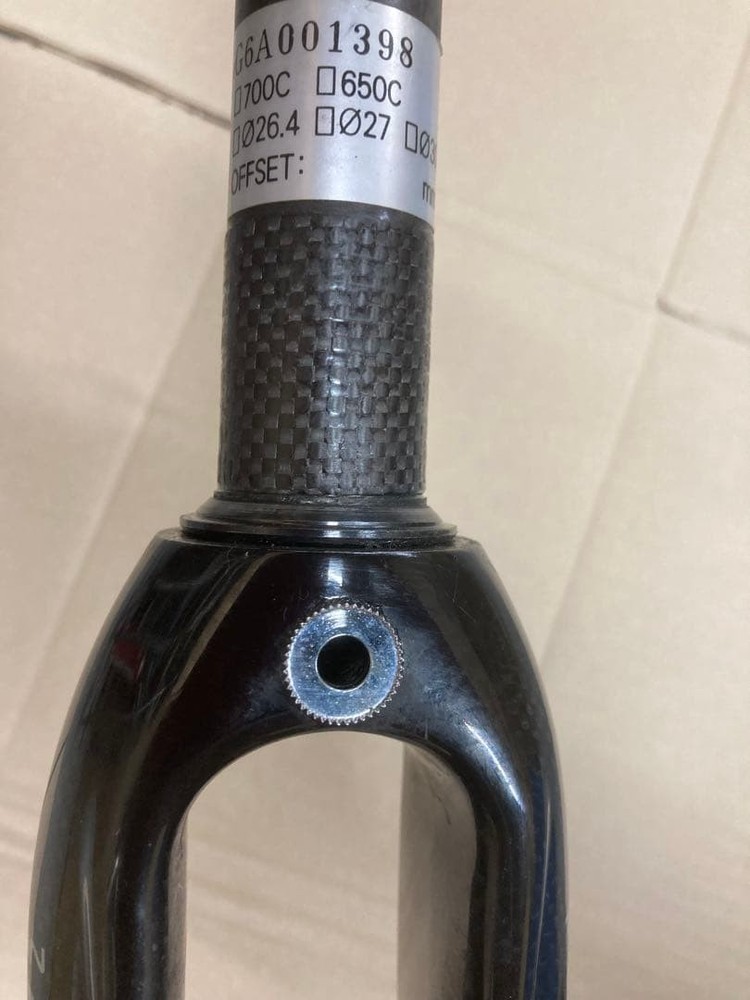 TRIGON EX full carbon fork