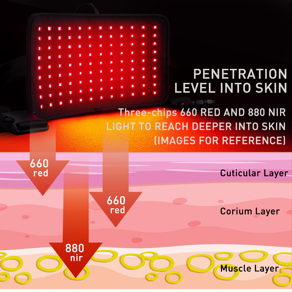 880nm Infrared Red Light Therapy Device Waist Belt For Arthritis Pain Relief