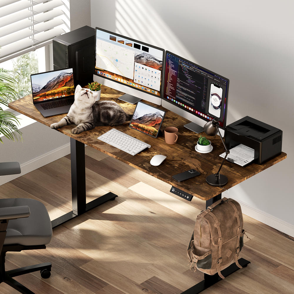 48/55/63" Brown Height Adjustable Electric Standing Desk Home Office Table/Frame