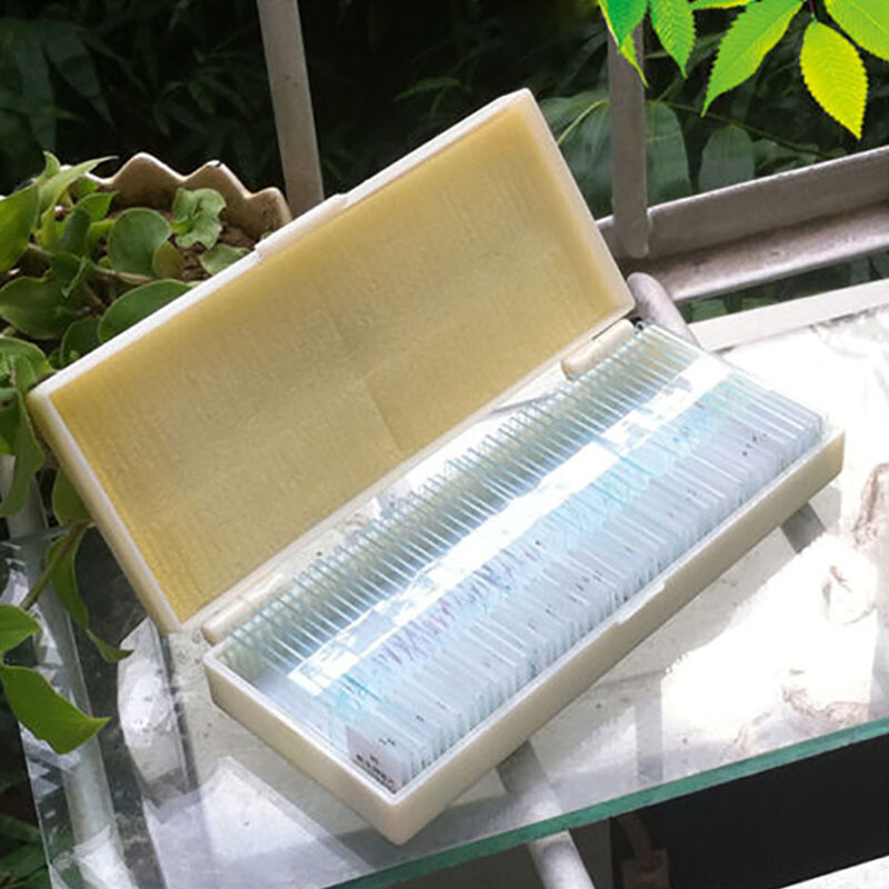 50pcs Glass Prepared Microscope Slides Biological Microscope Specimen Set