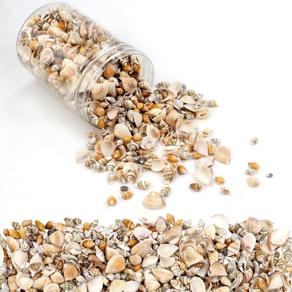 1500 Pcs Small Shells For Crafts,Small Sea Shells For Crafting,Mini Seashells...