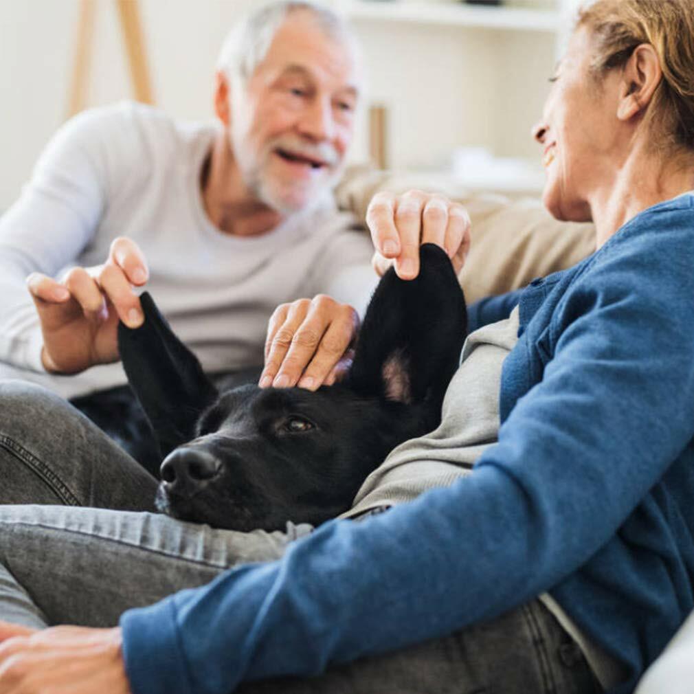 4 Wheels Pet Stroller Folding Cat Dog Cage Stroller Travel Carrier W/Cup Holder