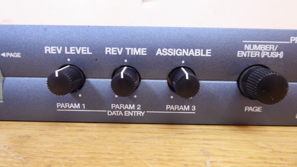 ROLAND SRV-3030 24-BIT DIGITAL REVERB EFFECTS PROCESSOR EXCELLENT WORKING CONDIT