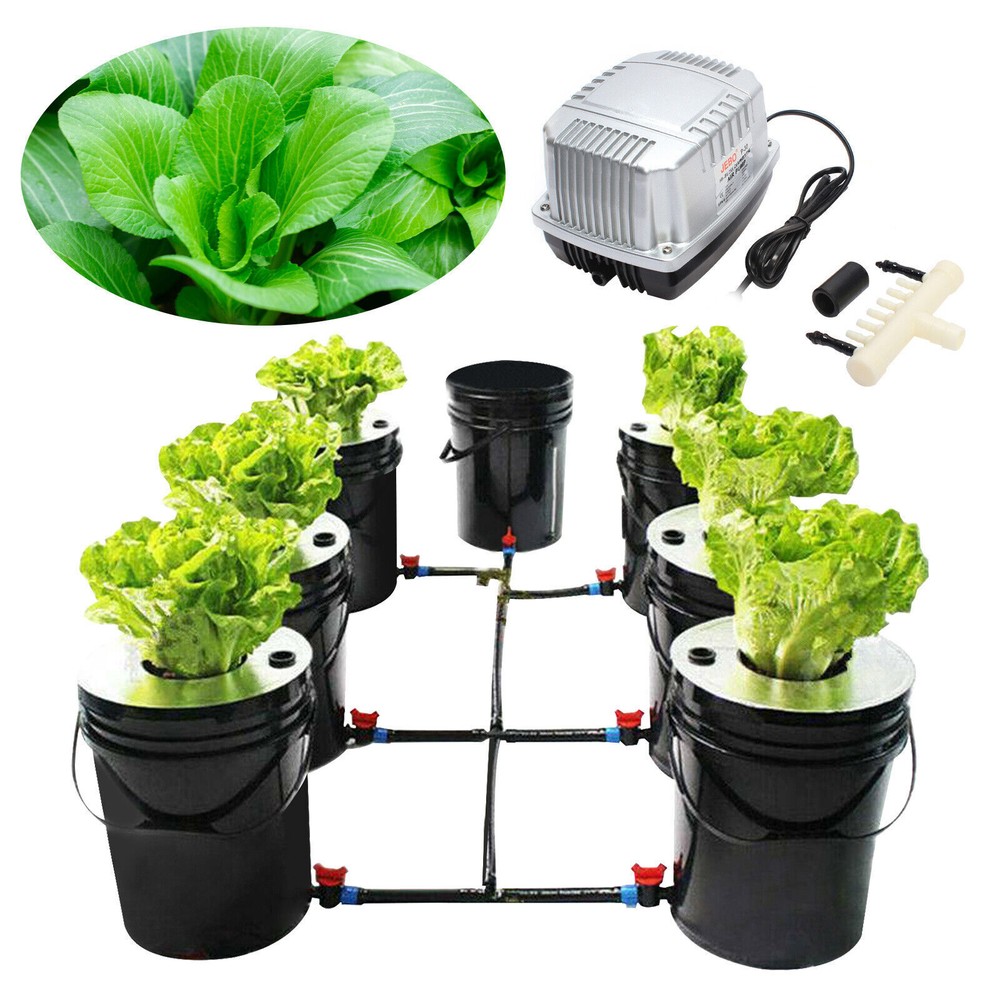 DWC 5 Gallons 6 Buckets Hydroponics Growing System Recirculating Growing Kit US
