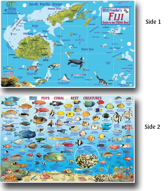 Franko Maps Fish ID Card & Dive Map - Fiji