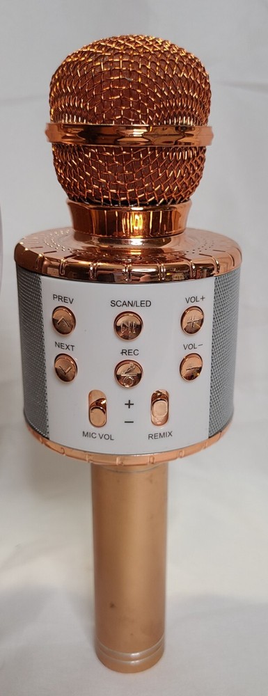 Karaoke Wireless Microphones