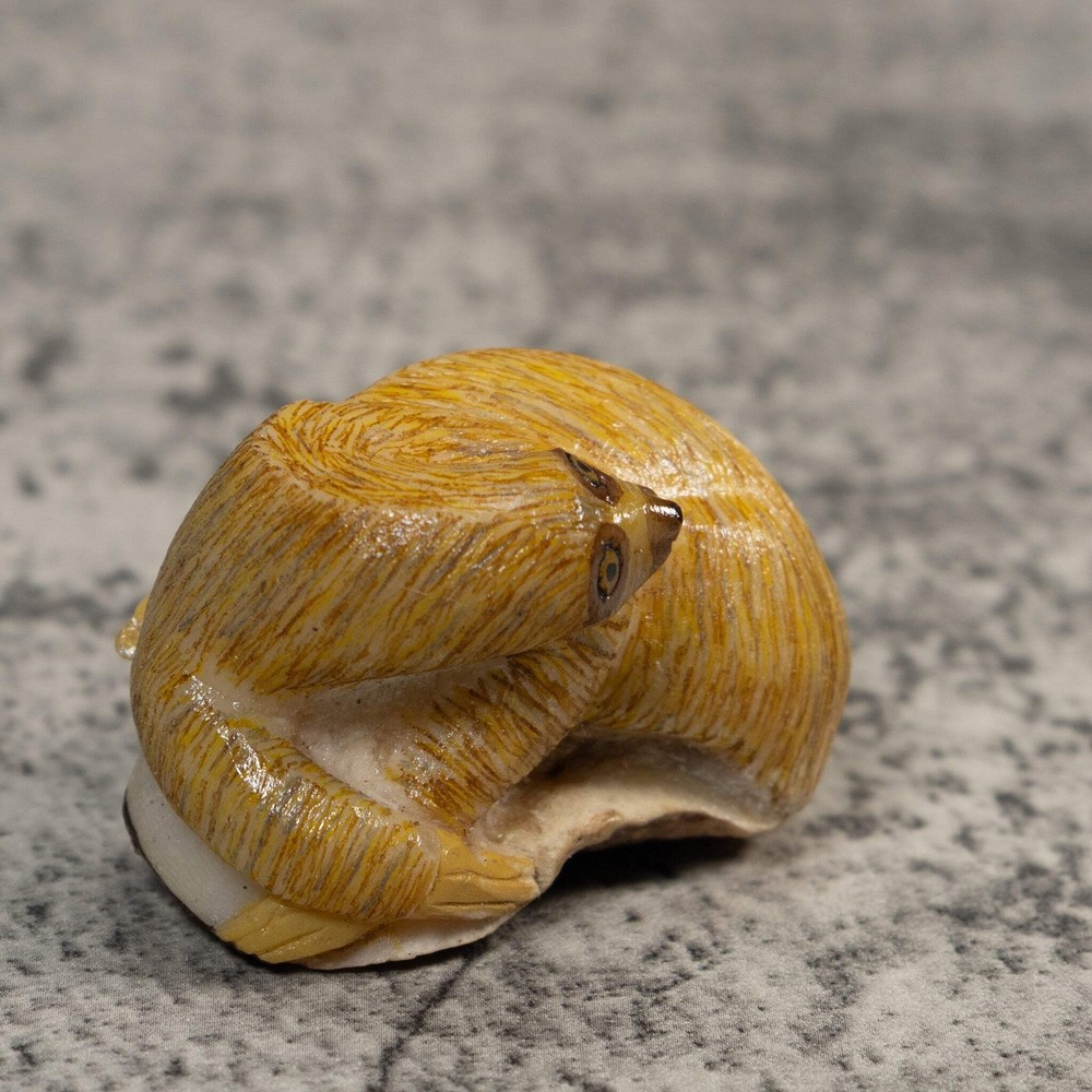 Brown Sloth Tagua Carving