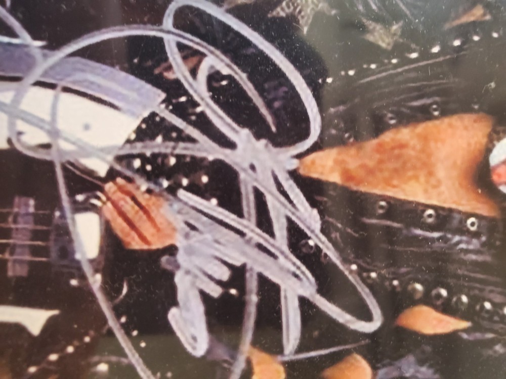 Signed Kiss Rock The Nation 2004 World Tour - Please Read