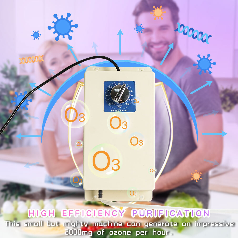 2000mg/h Ozone Generator Ozonator Air Purifier Water Food Vegetable Sterilizer