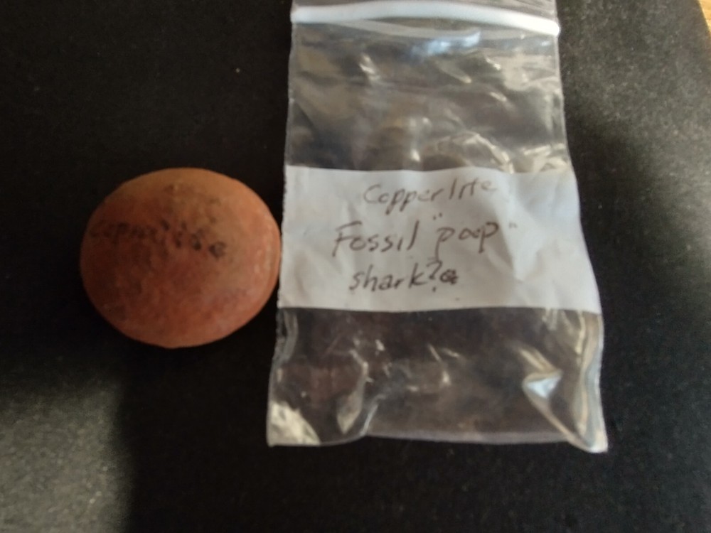 Mazon Creek Fossilized Coprolite