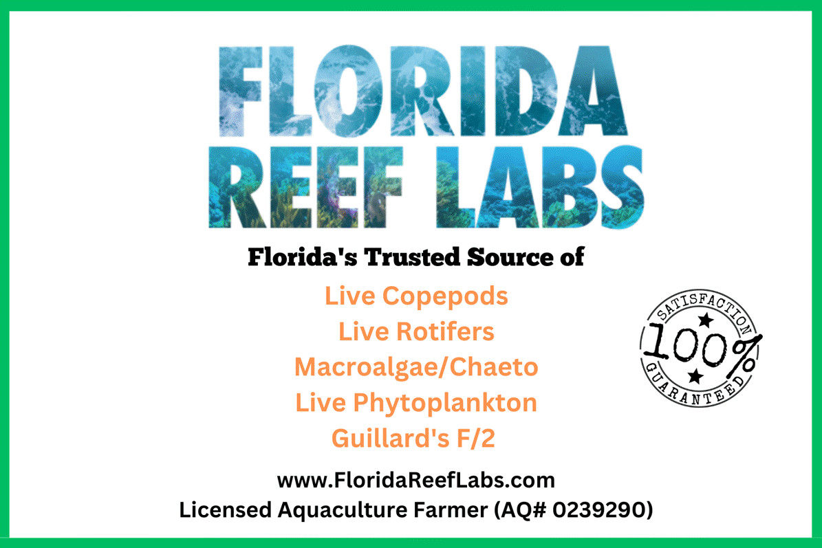 LIVE Copepods 16oz / Live Phytoplankton 16oz Combo - Florida Reef Labs®