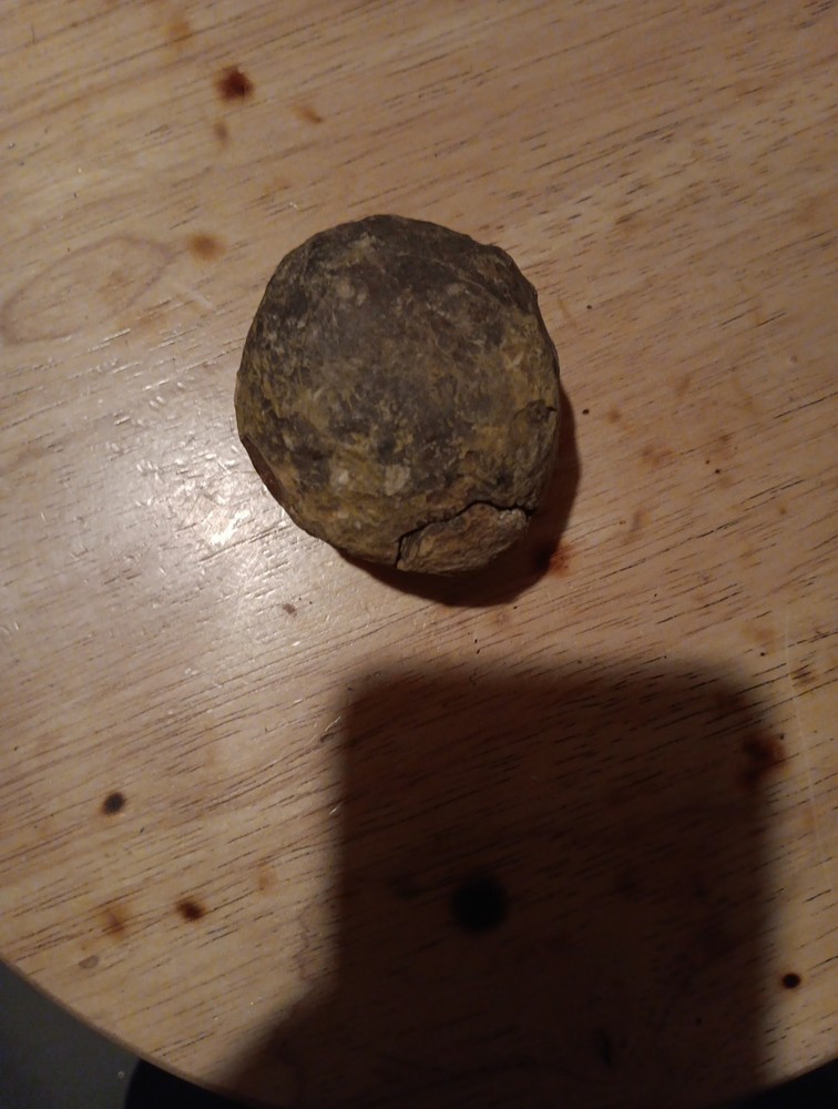 Full Stone Fossil Trilobite