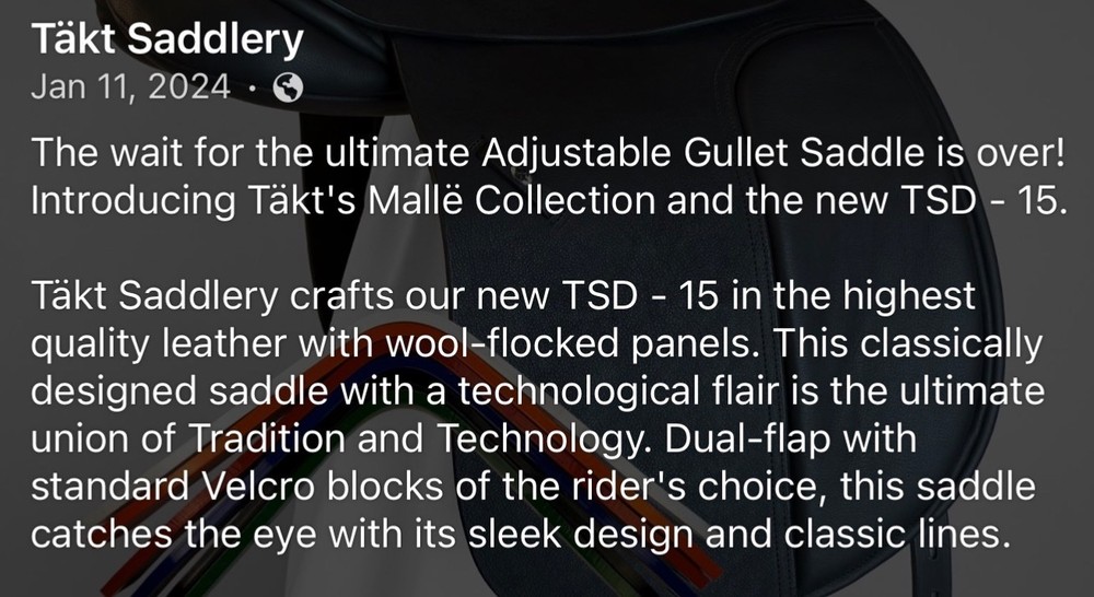 dressage saddle