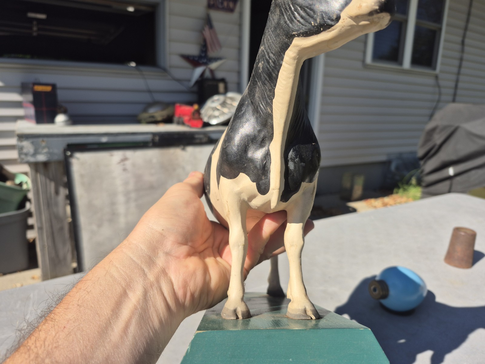 Vtg 1950s True Type Holstein Friesian Large Cow Brattleboro VT Store Display