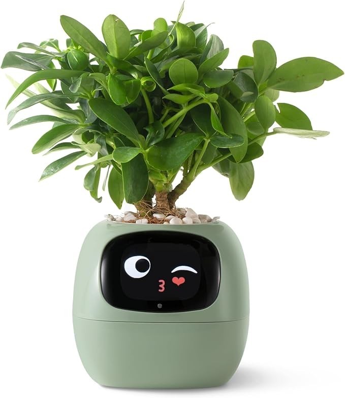 Plantsio Ivy Smart Planter Gen 2 Cute Interactive Flower Monitor NEW OPEN BOX