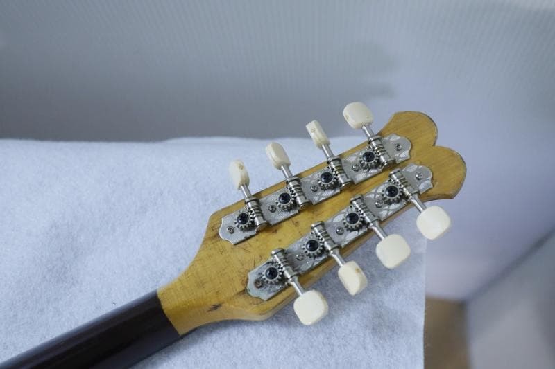 ◆Kunishima Mandolin No.106 ◆With hard case