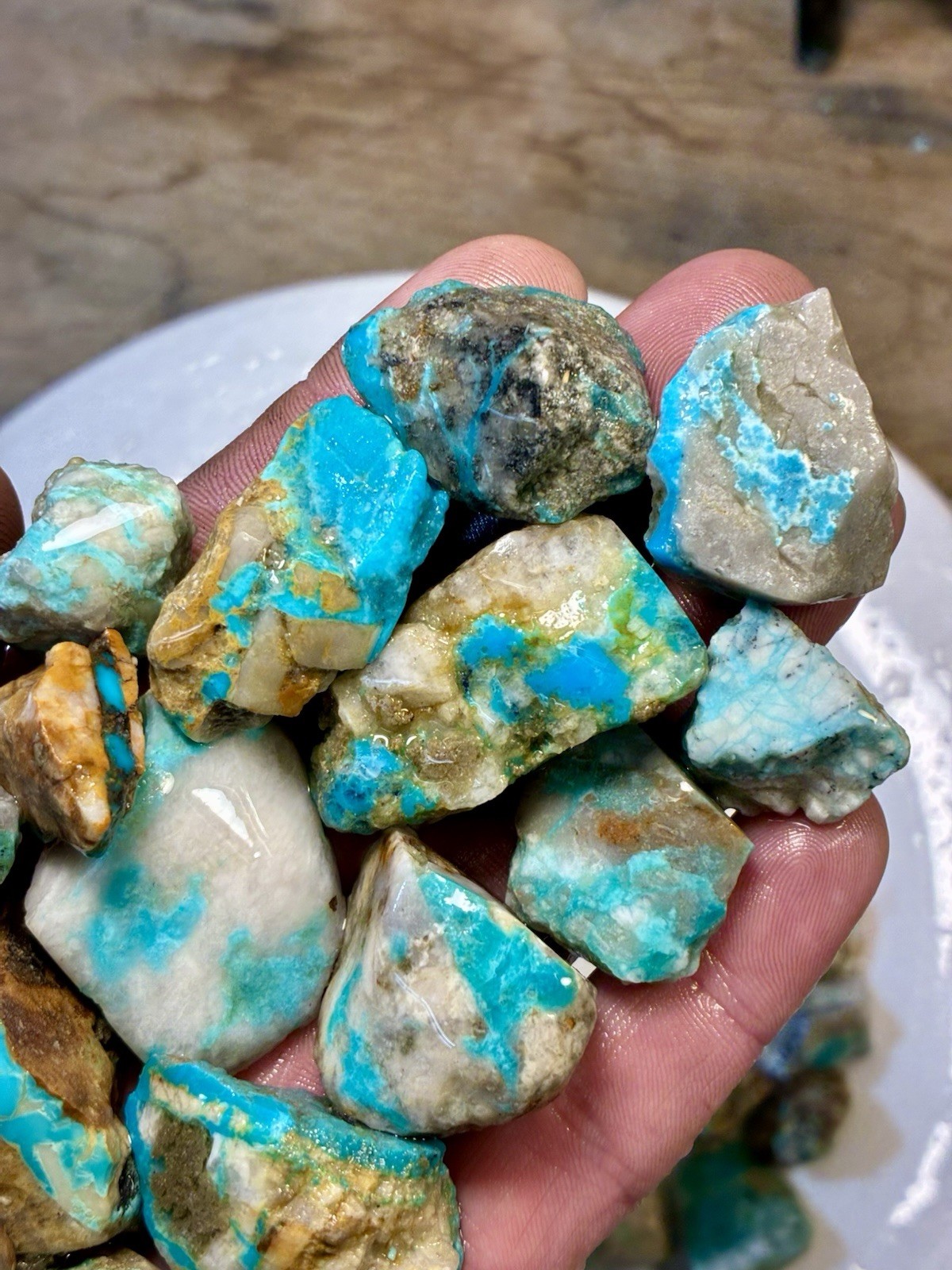 1 Lb of Skinny Turquoise Mountain Nugs! Now Available Again! ￼