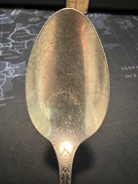 WM A. Rogers A1 Plus : Oneida LTD : Malibu : Silver Plate 6” Spoon : TX42
