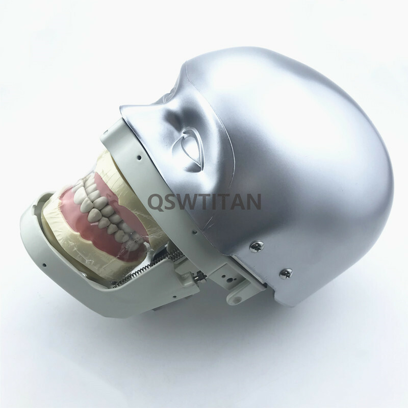 Dental Simulator Manikin Phantom Head practical exercises Head model