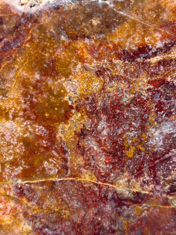 Large Mexican Red Moss Agate Slab Lapidary Cabbing Combo Ship Avail