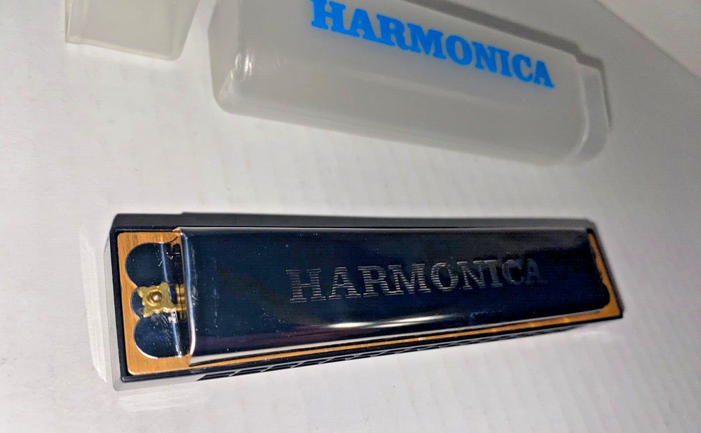 Unbranded Harmonica with Plastic Case