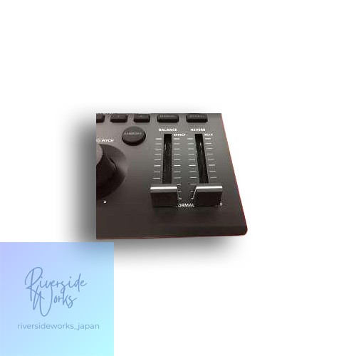 ROLAND VT-4 Voice Transformer Vocal Effects Processor JP