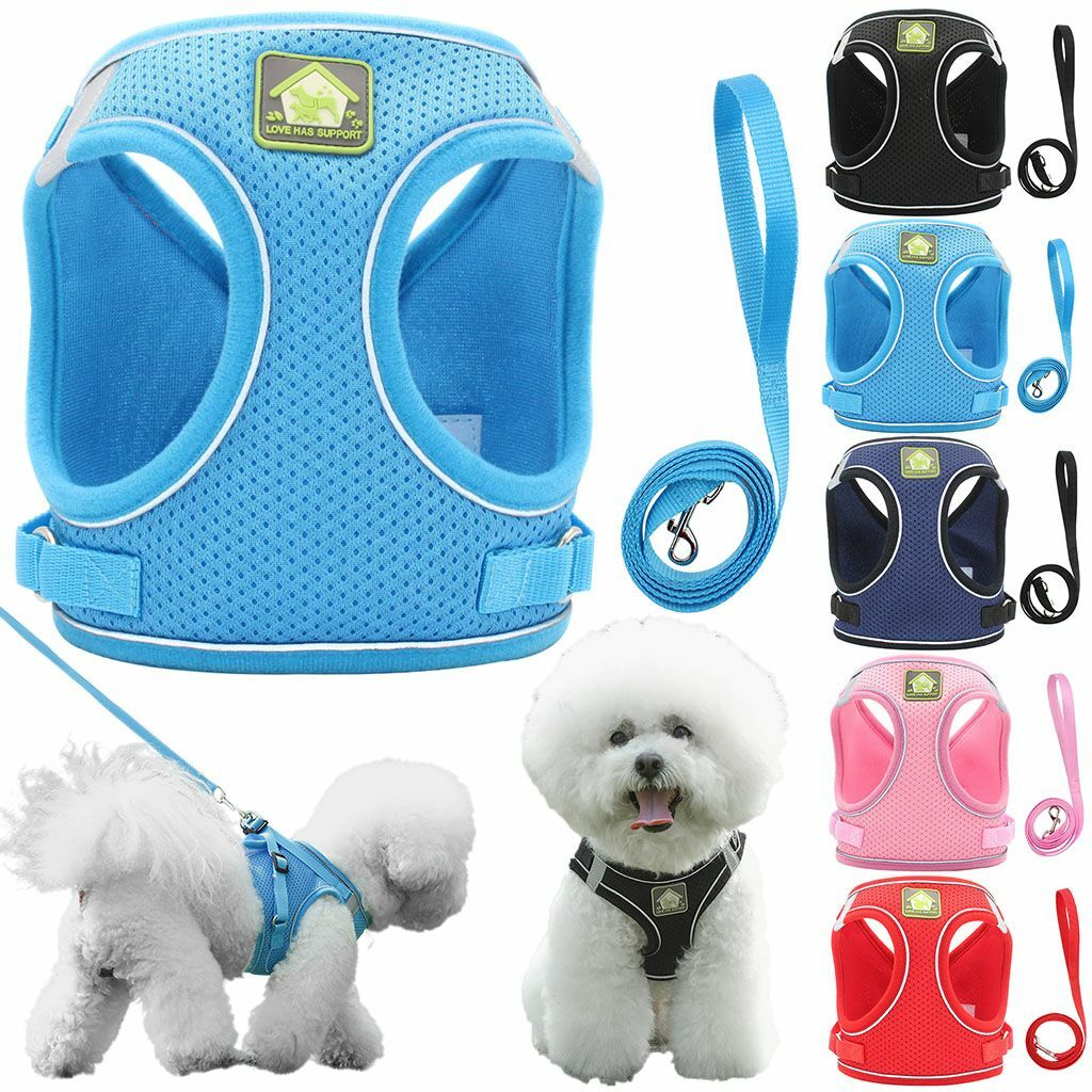 Mesh Padded Dog Harness & Leash Pet Puppy Vest for Small Medium Dogs Chihuahua