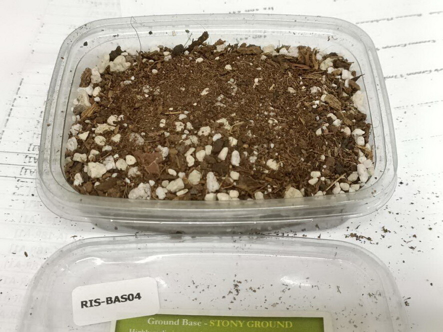 Reality In Scale Stony Ground (155ml)