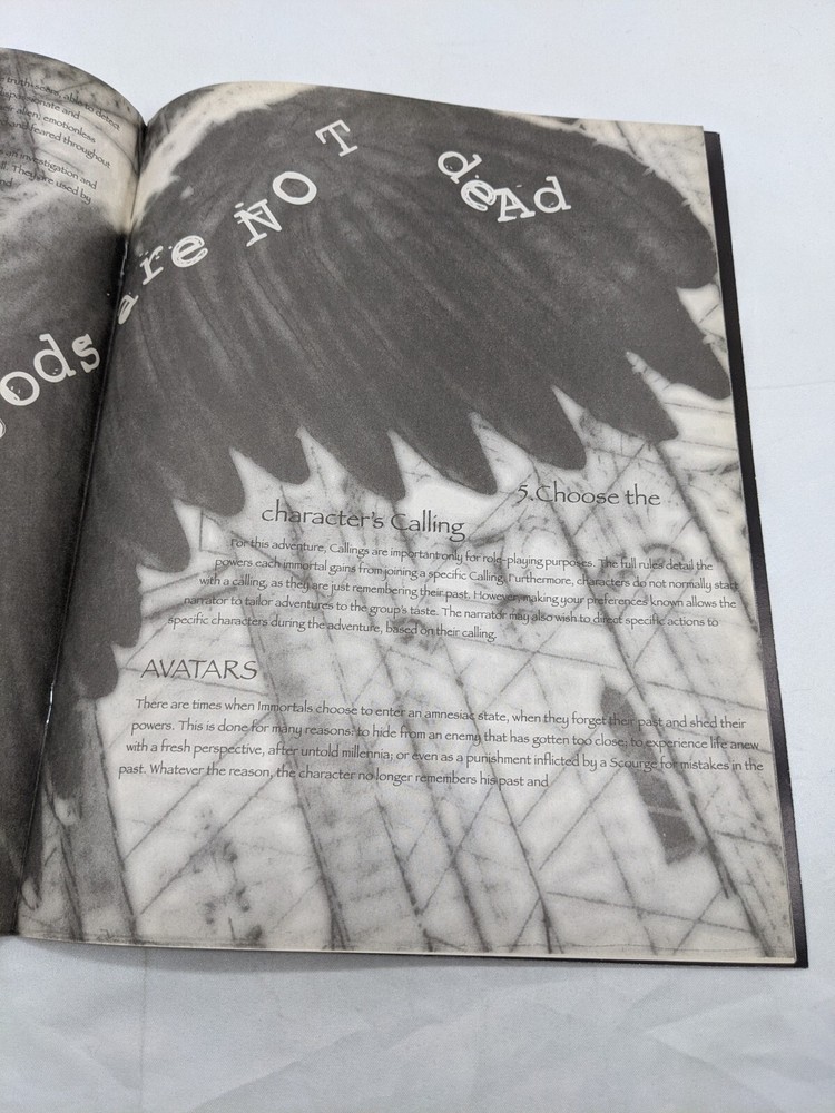 Immortal RPG Preview Introduction Book Precedence