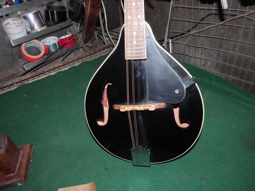 Rogue RM-100A A-Style Mandolin - Black