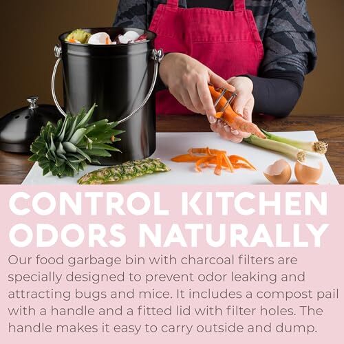 Countertop Compost Bin Kitchen | 1.3 Gallon | Odorless Composting Bin With Carbo