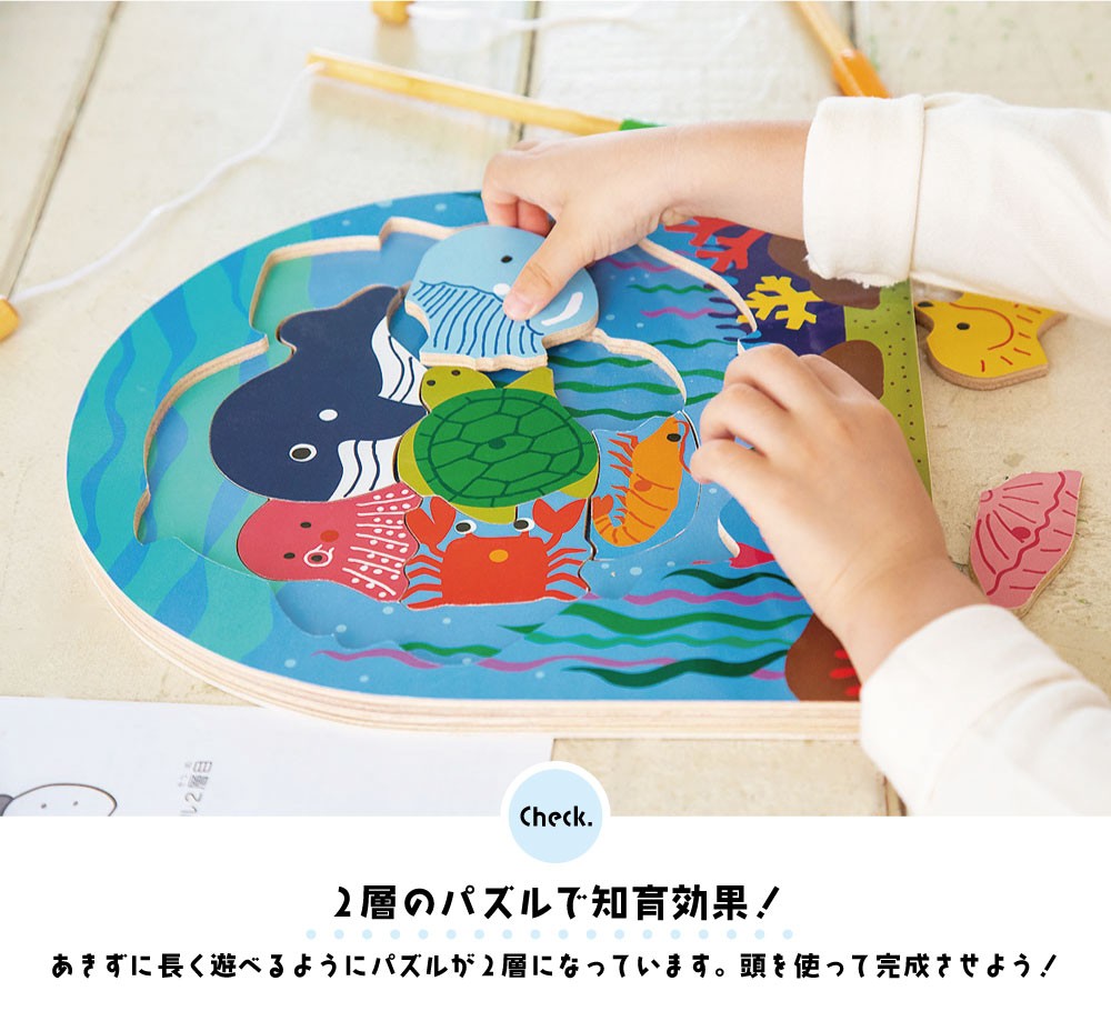 Two-Layer Puzzle Fishing Game