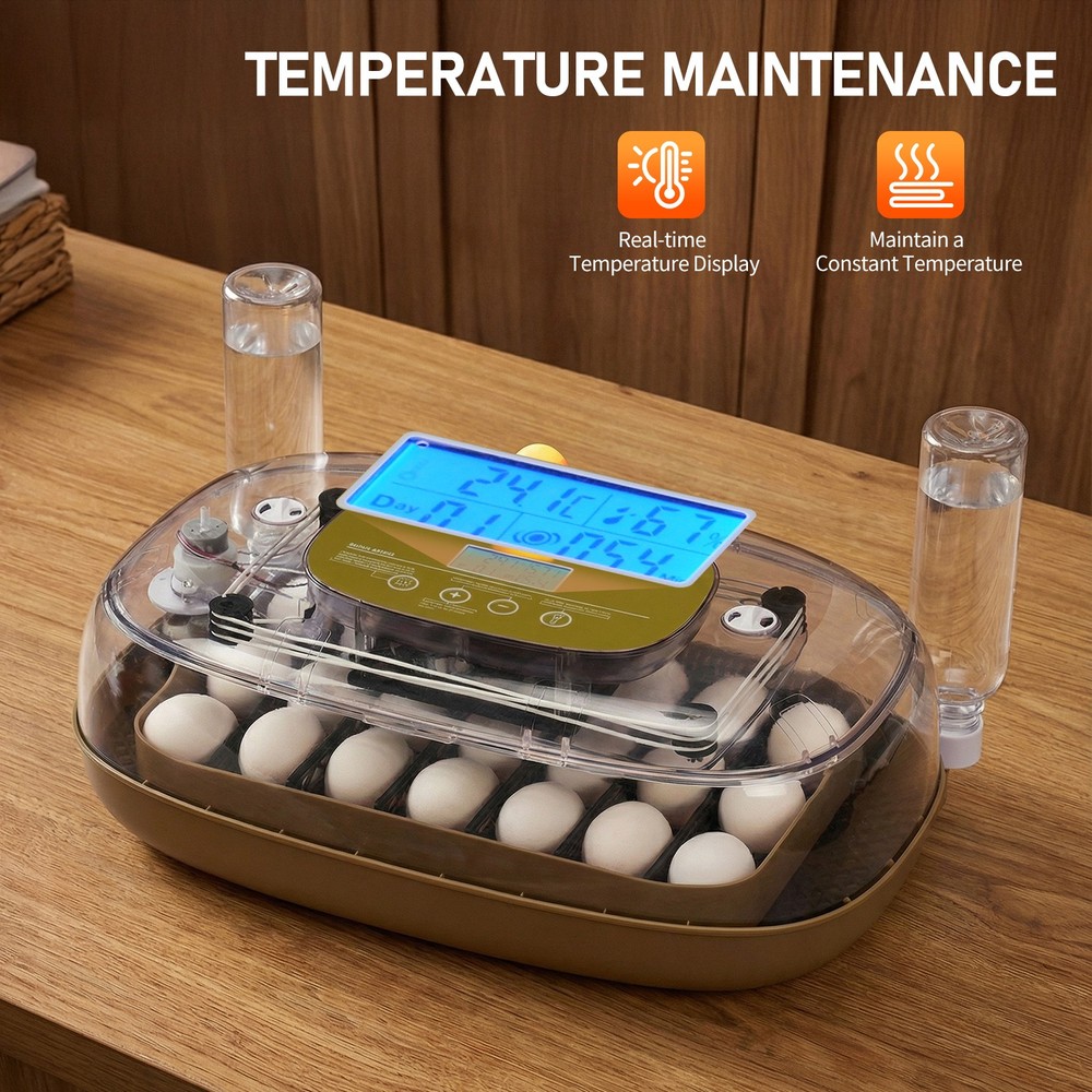 24 Egg Incubator with Automatic Egg Turning Egg Hatching Temp & Humidity Control