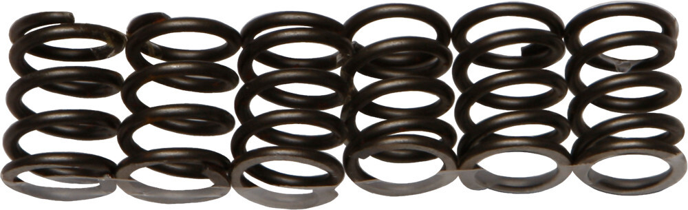 EBC CSK19 Clutch Springs CSK19
